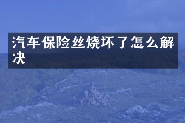 汽车保险丝烧坏了怎么解决