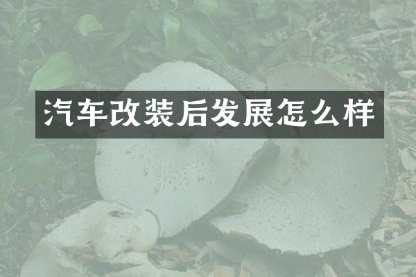 汽车改装后发展怎么样