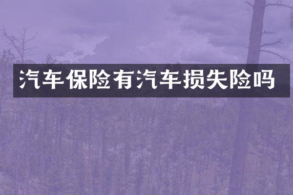 汽车保险有汽车损失险吗