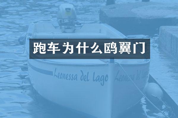 跑车为什么鸥翼门