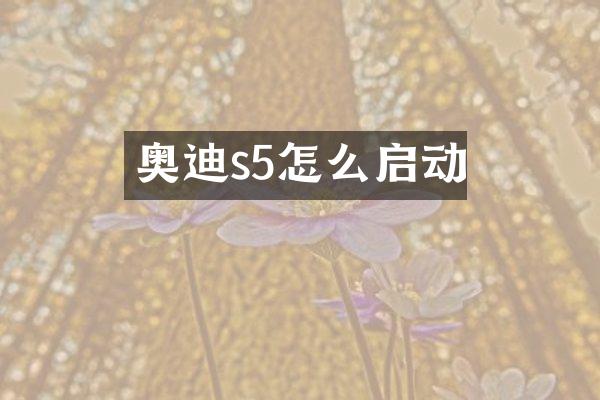奥迪s5怎么启动