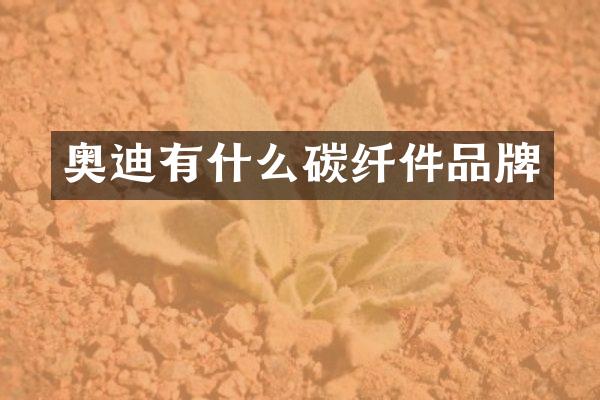 奥迪有什么碳纤件品牌
