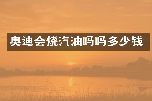 奥迪会烧汽油吗吗多少钱