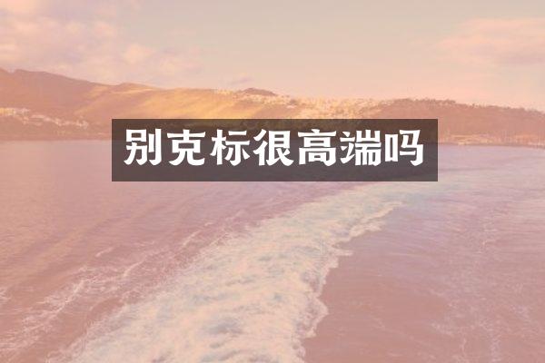别克标很高端吗