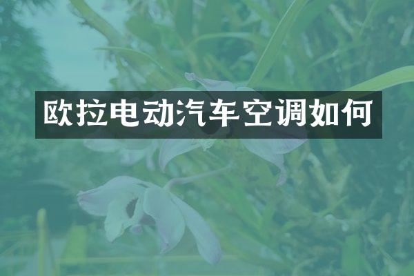 欧拉电动汽车空调如何