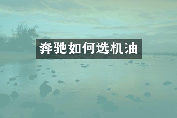 奔驰如何选机油