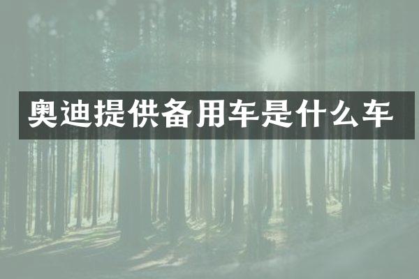奥迪提供备用车是什么车