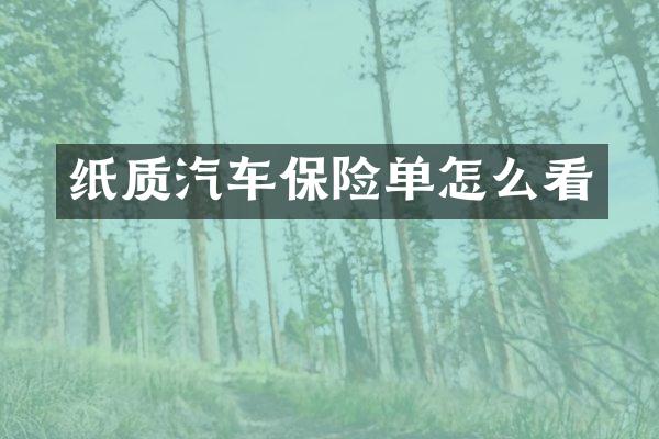 纸质汽车保险单怎么看