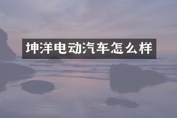 坤洋电动汽车怎么样