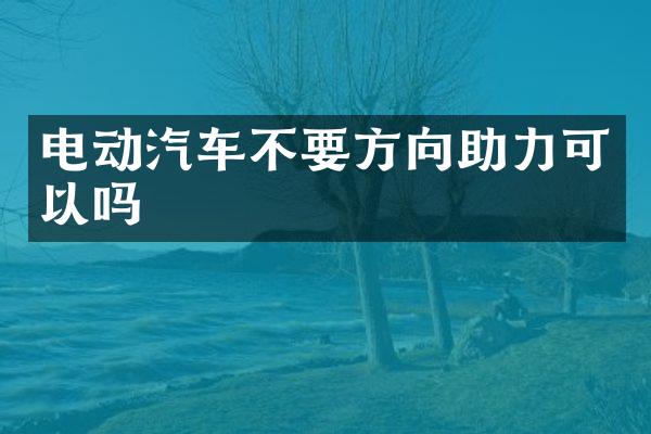 电动汽车不要方向助力可以吗