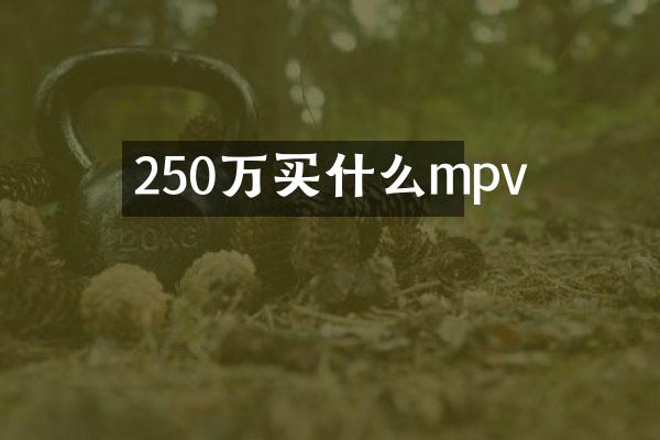 250万mpv