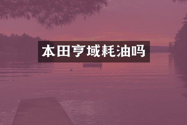 本田亨域耗油吗