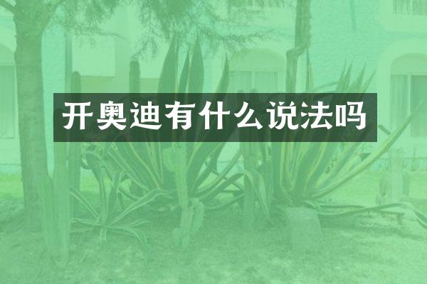 开奥迪有什么说法吗