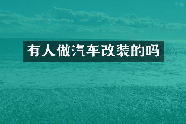有人做汽车改装的吗