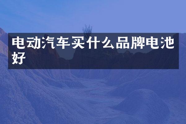 电动汽车品牌电池好
