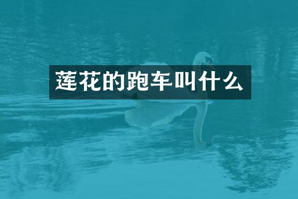 莲花的跑车叫什么