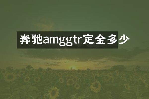 奔驰amggtr定金多少