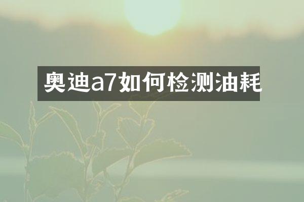 奥迪a7如何检测油耗