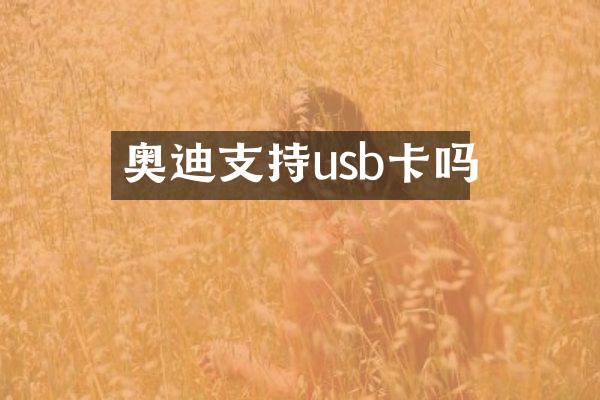 奥迪支持usb卡吗