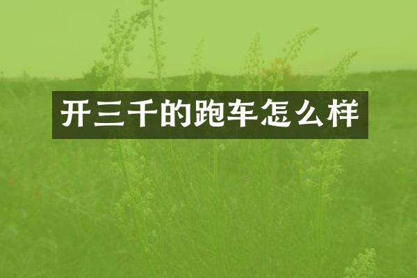 开三千的跑车怎么样
