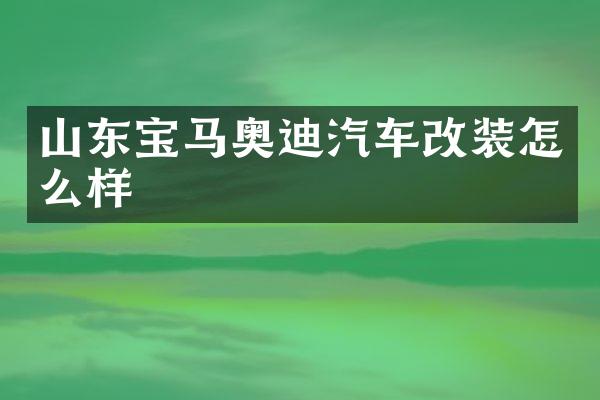 山东宝马奥迪汽车改装怎么样