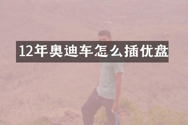 12年奥迪车怎么插优盘