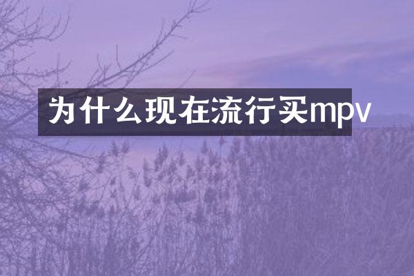 为什么现在流行买mpv