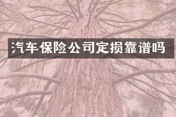 汽车保险公司定损靠谱吗