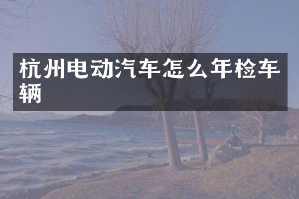 杭州电动汽车怎么年检车辆
