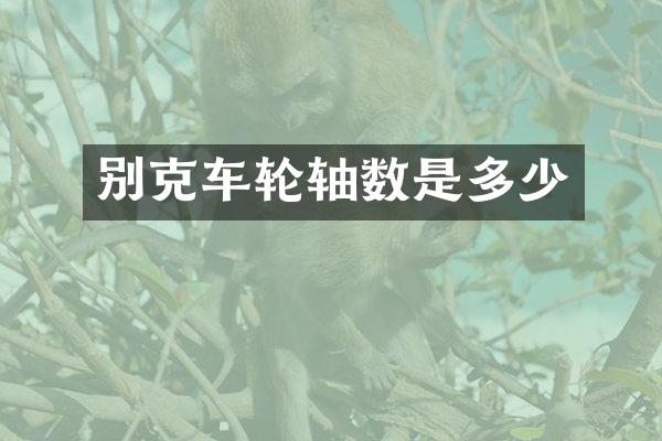 别克车轮轴数是多少