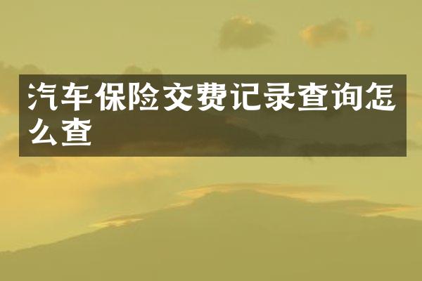 汽车保险交费记录查询怎么查