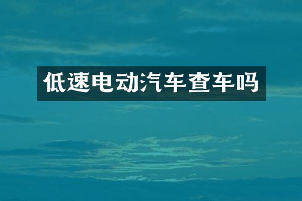 低速电动汽车查车吗