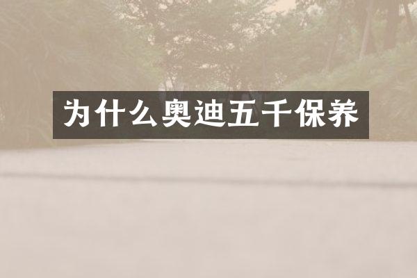 为什么奥迪五千保养