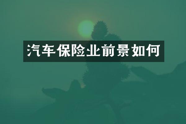 汽车保险业前景如何