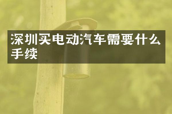 深圳买电动汽车需要什么手续