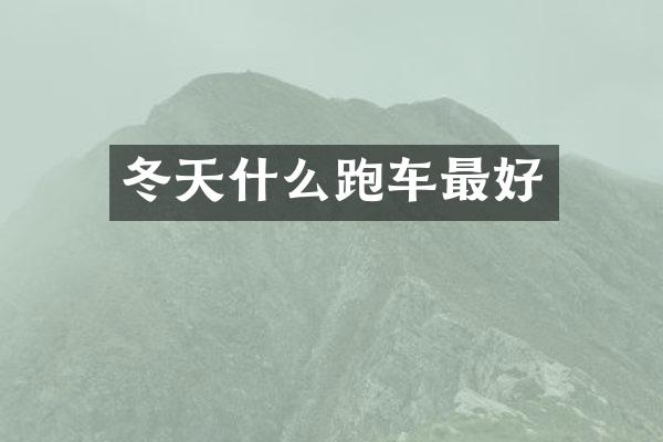 冬天什么跑车最好