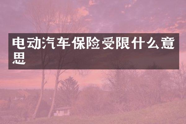 电动汽车保险受限什么意思