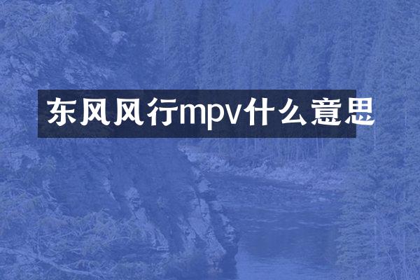东风风行mpv什么意思
