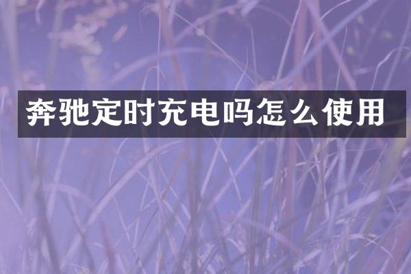 奔驰定时充电吗怎么使用