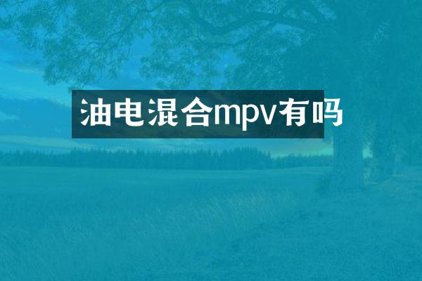 油电混合mpv有吗