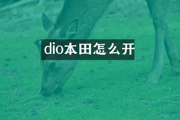 dio本田怎么开