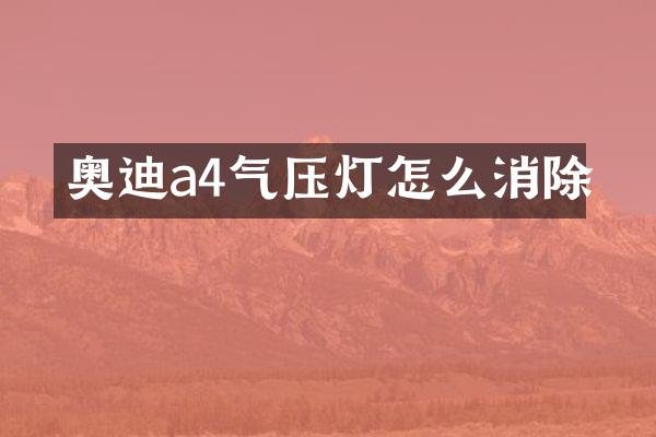 奥迪a4气压灯怎么消除