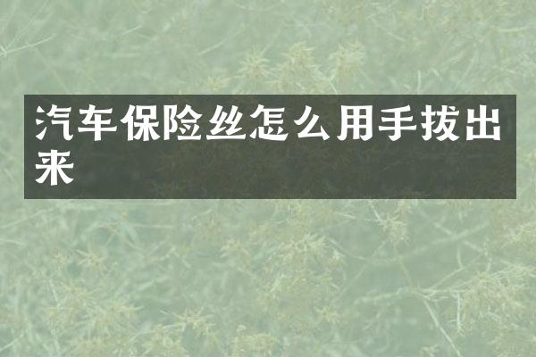 汽车保险丝怎么用手