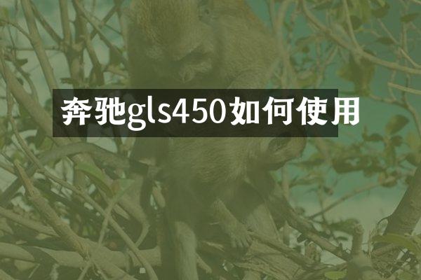 奔驰gls450如何使用