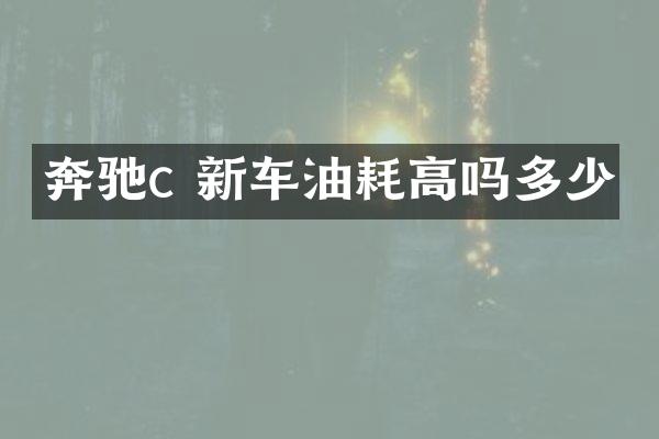 奔驰c 新车油耗高吗多少