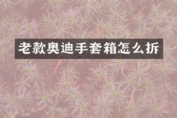 老款奥迪手套箱怎么拆