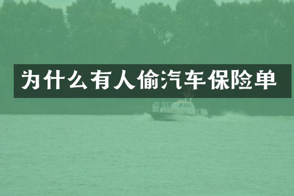 为什么有人偷汽车保险单