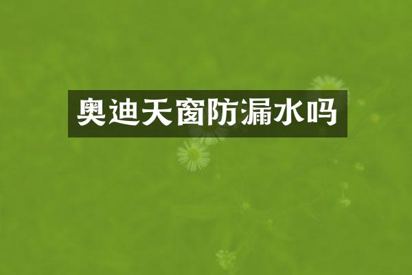奥迪天窗防漏水吗