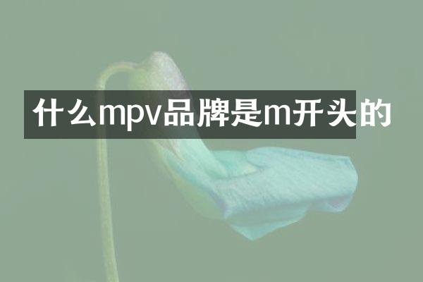 什么mpv品牌是m开头的