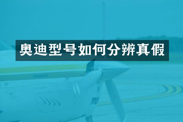 奥迪型号如何分辨真假